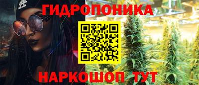 тгк Бийск