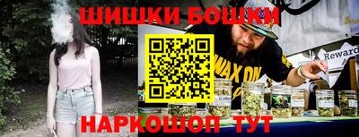 тгк Бийск
