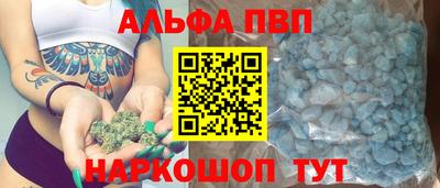 тгк Бийск