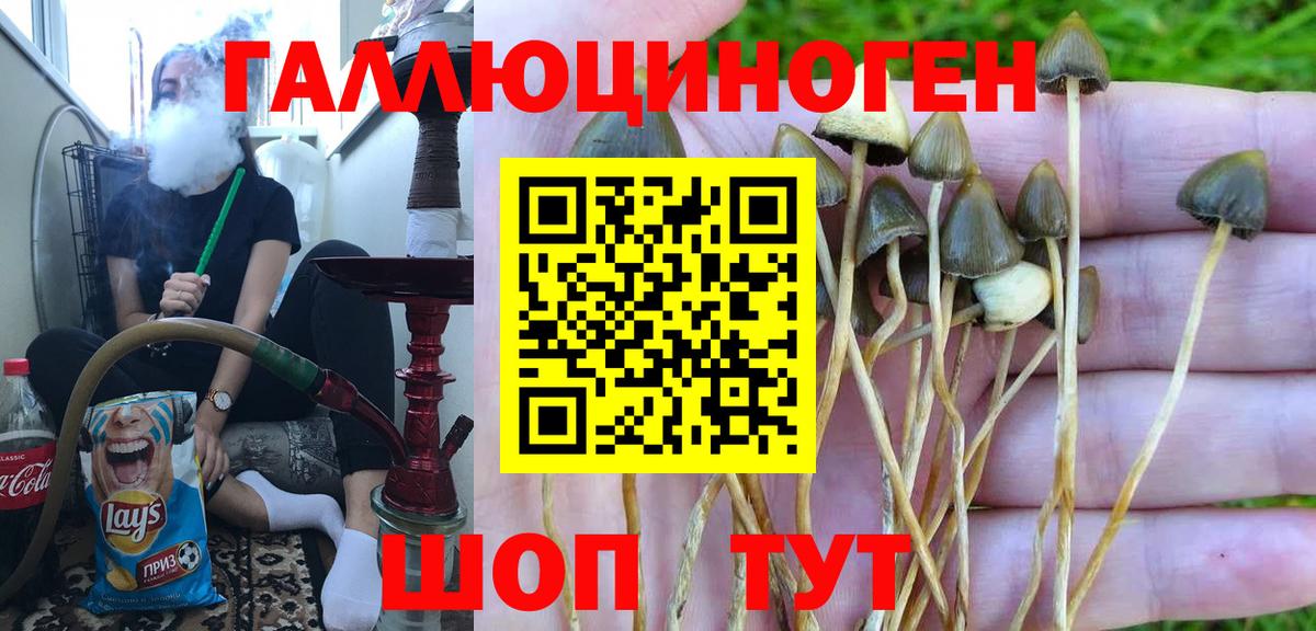 Галлюциногенные грибы MAGIC MUSHROOMS Калач-на-Дону