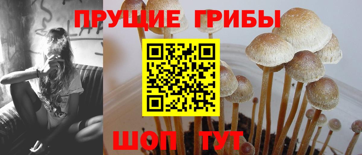 Галлюциногенные грибы мухоморы  Вход с VPN  Калач-на-Дону  Псилоцибиновые грибы MAGIC MUSHROOMS 